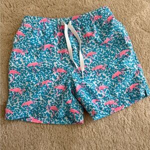Chubbies Kids Swim Trunks with Pink and Blue Design